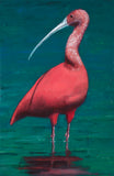 Original Artwork - Print