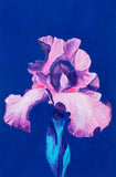 Original Artwork - Print